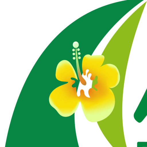 Amazonas productos latinos